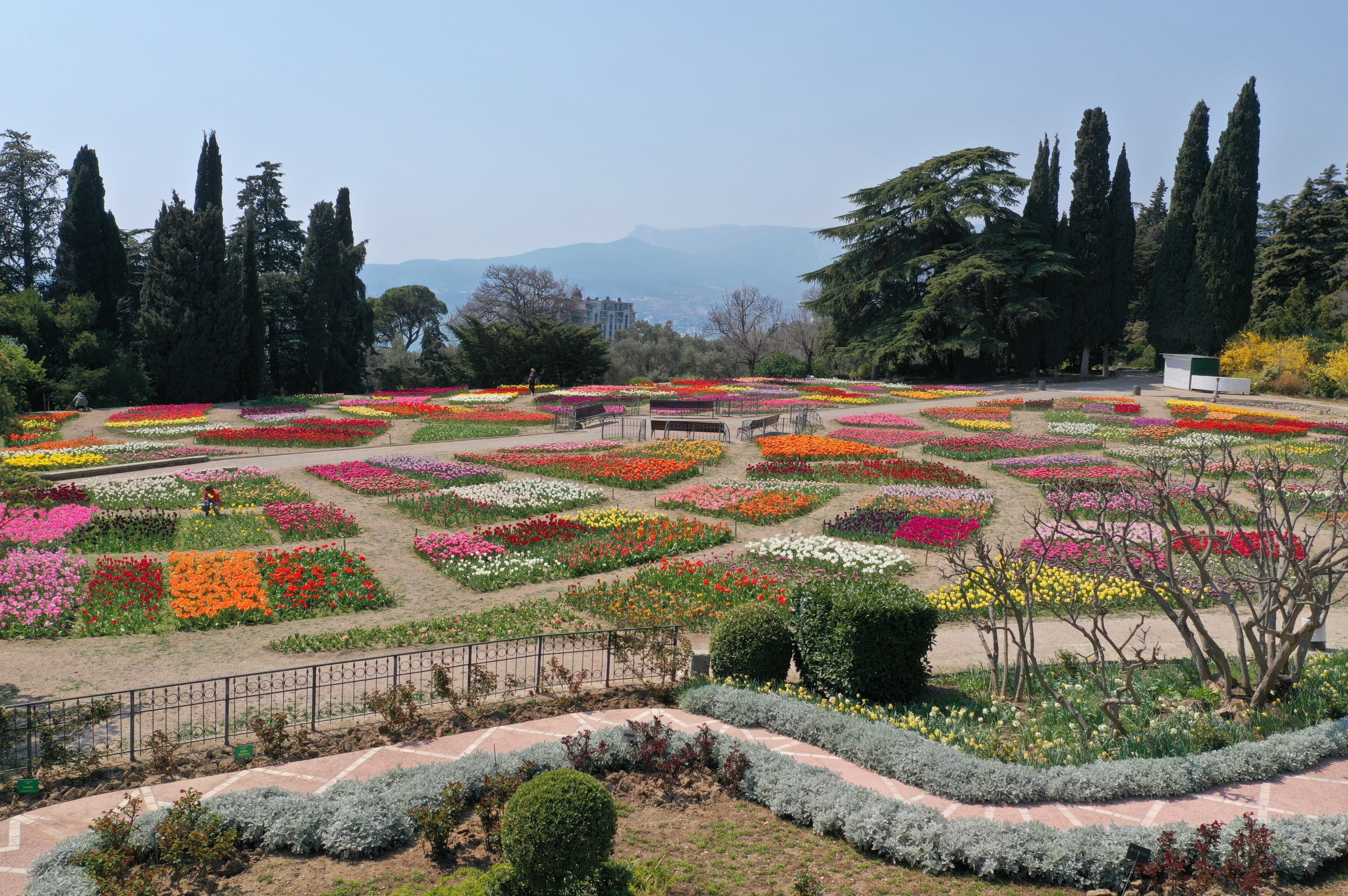 尼基塔植物园